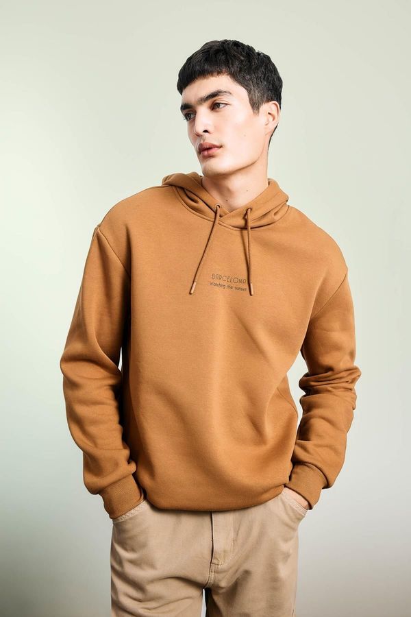 DEFACTO DEFACTO Relax Fit Hooded Printed Thick Sweatshirt