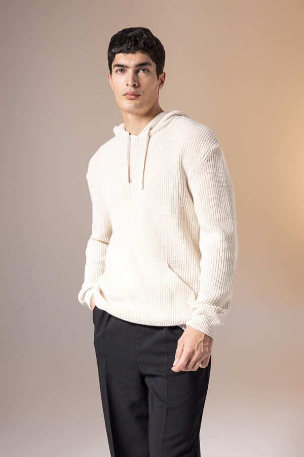 DEFACTO DEFACTO Relax Fit Hooded Thessaloniki Fabric Sweater