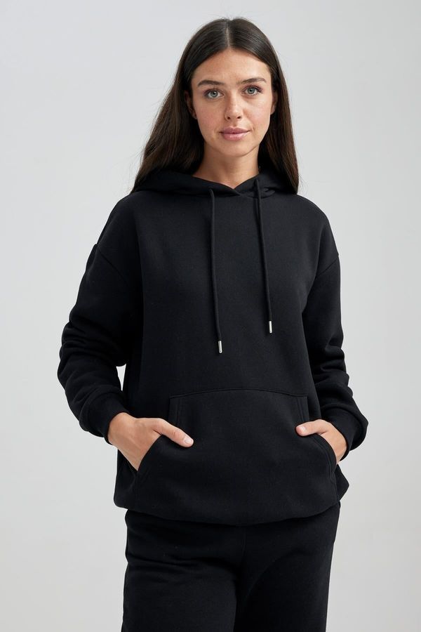 DEFACTO DEFACTO Relax Fit Hooded Thick Basic Sweatshirt