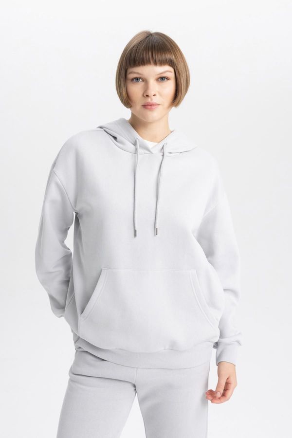 DEFACTO DEFACTO Relax Fit Hooded Thick Basic Sweatshirt