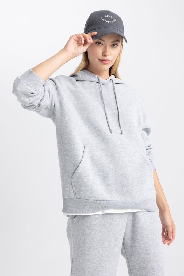 DEFACTO DEFACTO Relax Fit Hooded Thick Fabric Sweatshirt