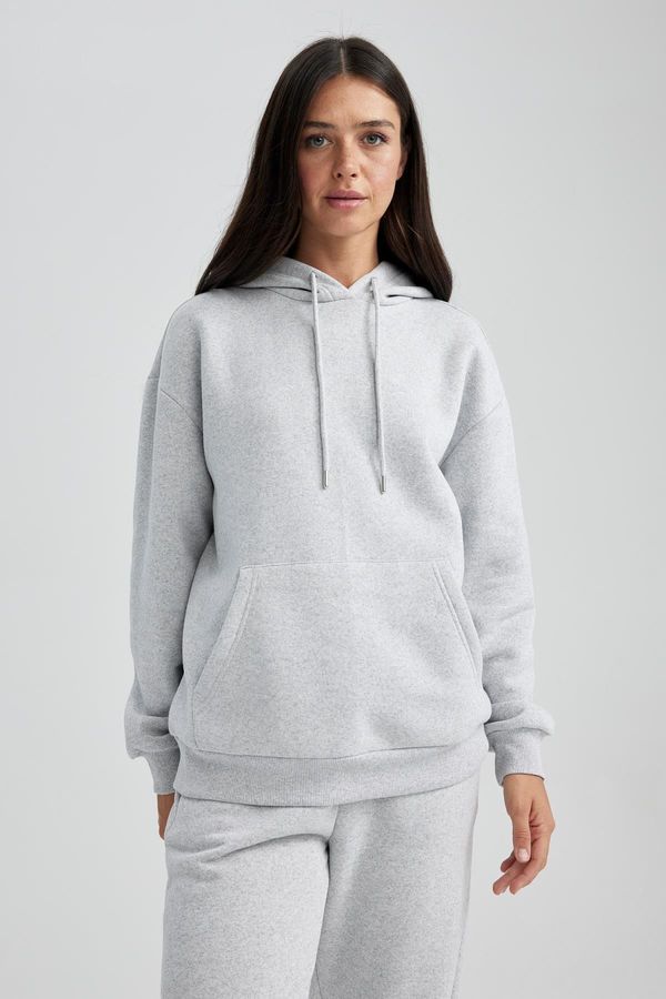 DEFACTO DEFACTO Relax Fit Thick Hooded Sweatshirt