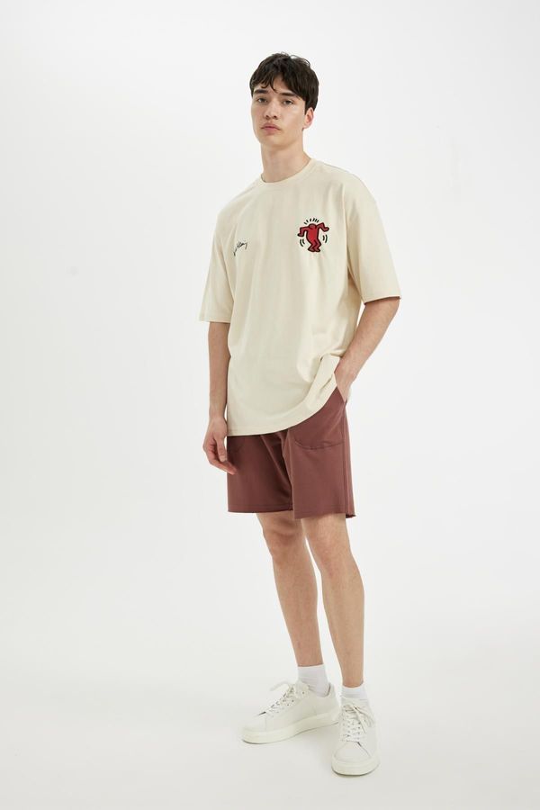 DEFACTO DEFACTO Slim Fit Narrow Leg Shorts