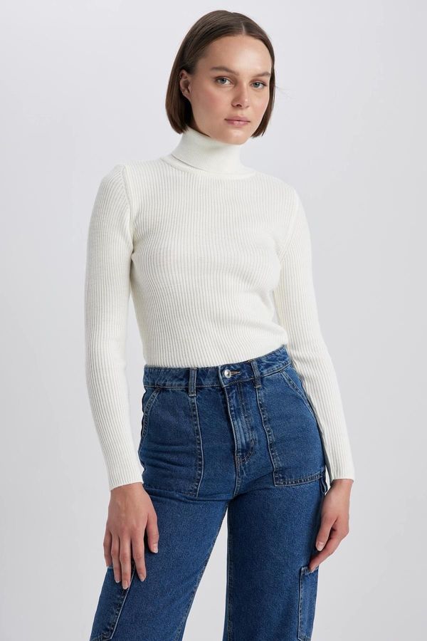 DEFACTO DEFACTO Slim Fit Turtleneck Knitwear Sweater