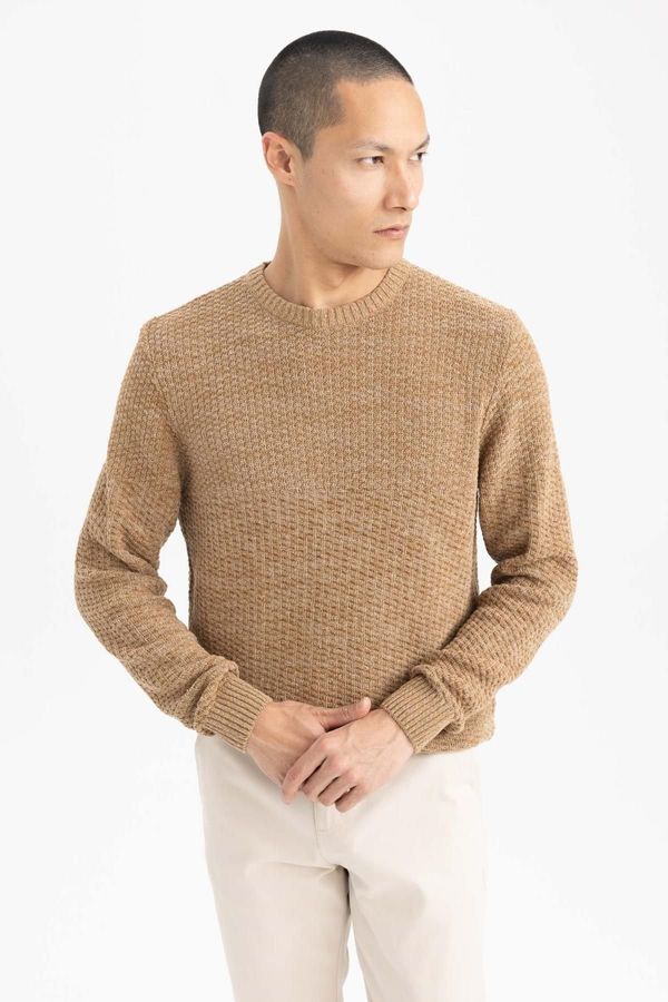 DEFACTO DEFACTO Standard Fit Crew Neck Knitwear Sweater