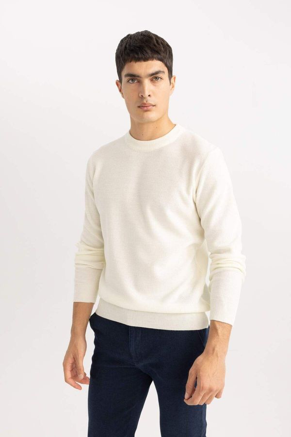 DEFACTO DEFACTO Standard Fit Crew Neck Knitwear Sweater