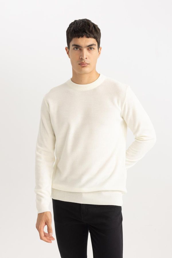 DEFACTO DEFACTO Standard Fit Crew Neck Sweater