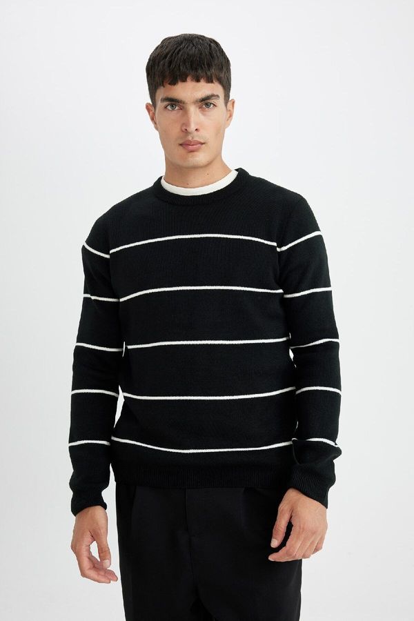 DEFACTO DEFACTO Standard Fit Crew Neck Sweater