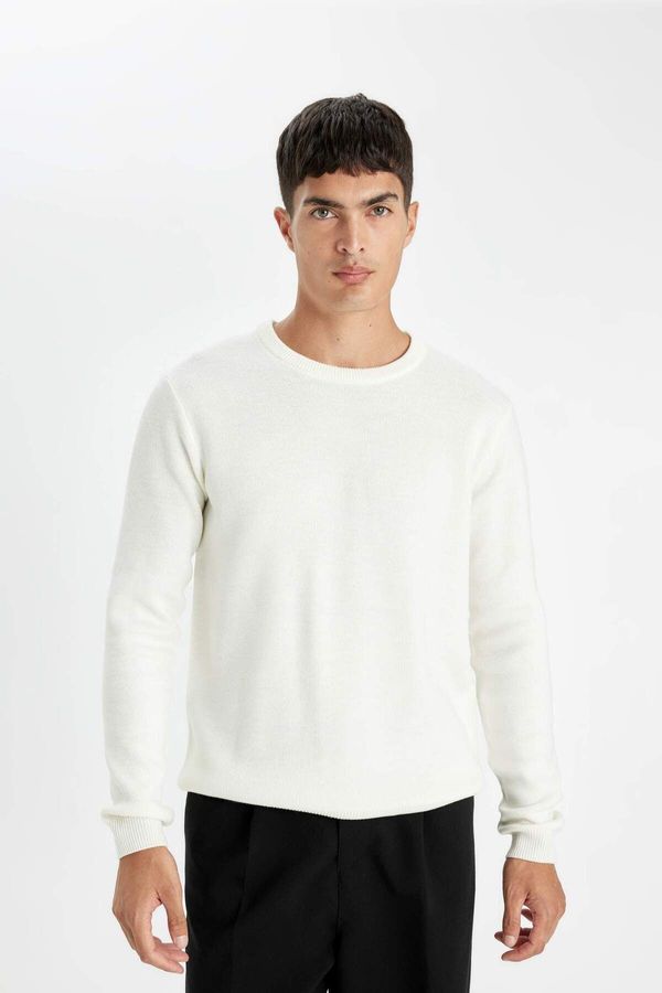 DEFACTO DEFACTO Standard Fit Crew Neck Sweater