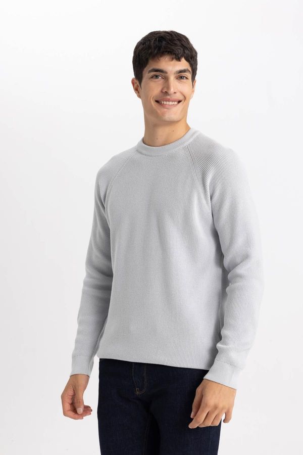 DEFACTO DEFACTO Standard Fit Crew Neck Sweater