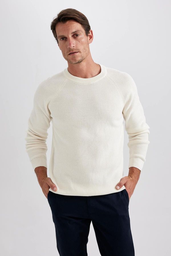 DEFACTO DEFACTO Standard Fit Crew Neck Sweater