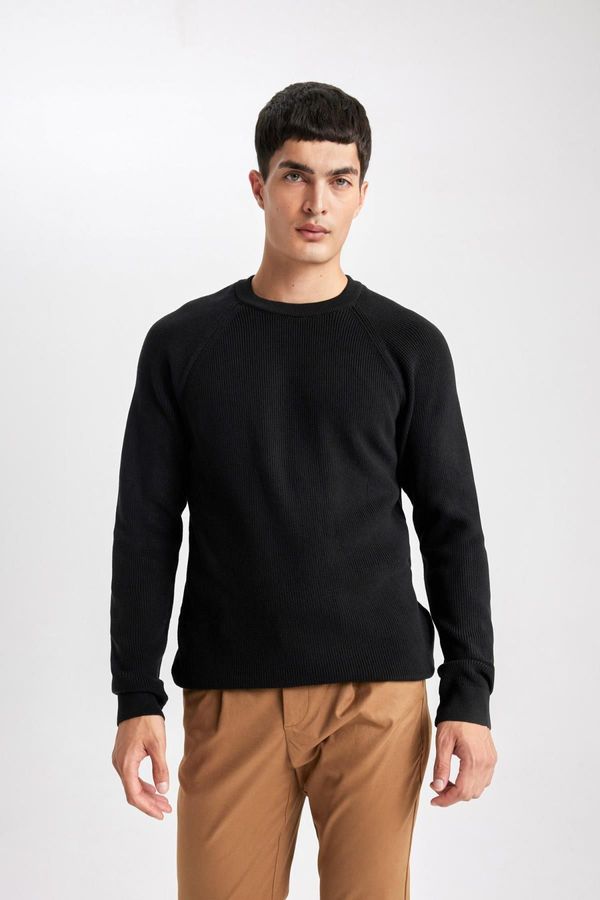 DEFACTO DEFACTO Standard Fit Crew Neck Sweater