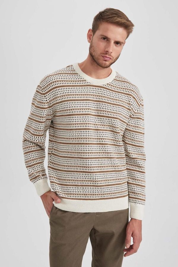 DEFACTO DEFACTO Standard Fit Patterned Crew Neck Sweater