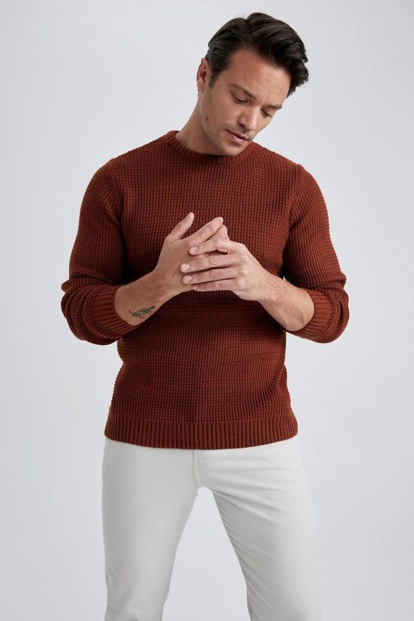 DEFACTO DEFACTO Standard Fit Regular Cut Crew Neck Basic Plain Knitwear Sweater