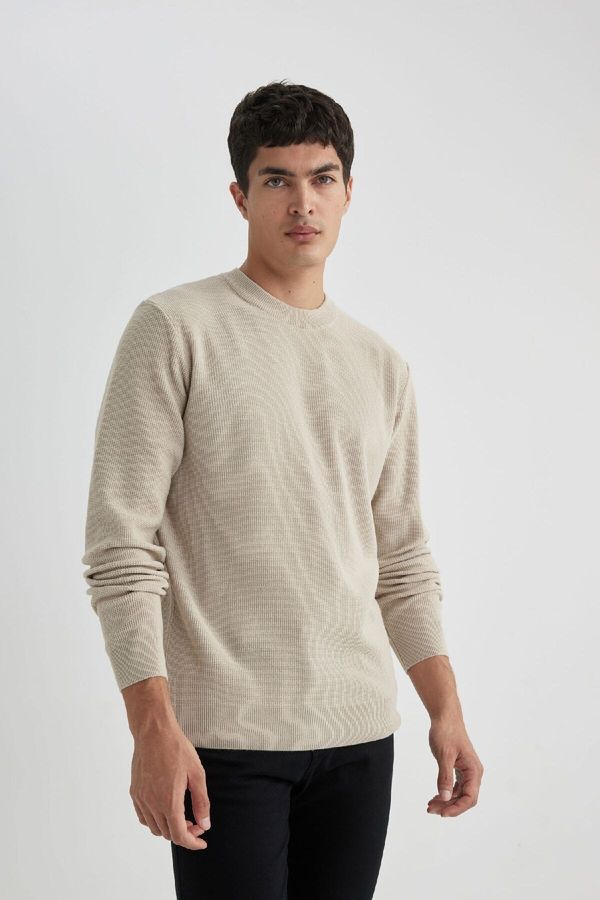 DEFACTO DEFACTO Standard Fit Regular Cut Crew Neck Mouline Patterned Knitwear Sweater