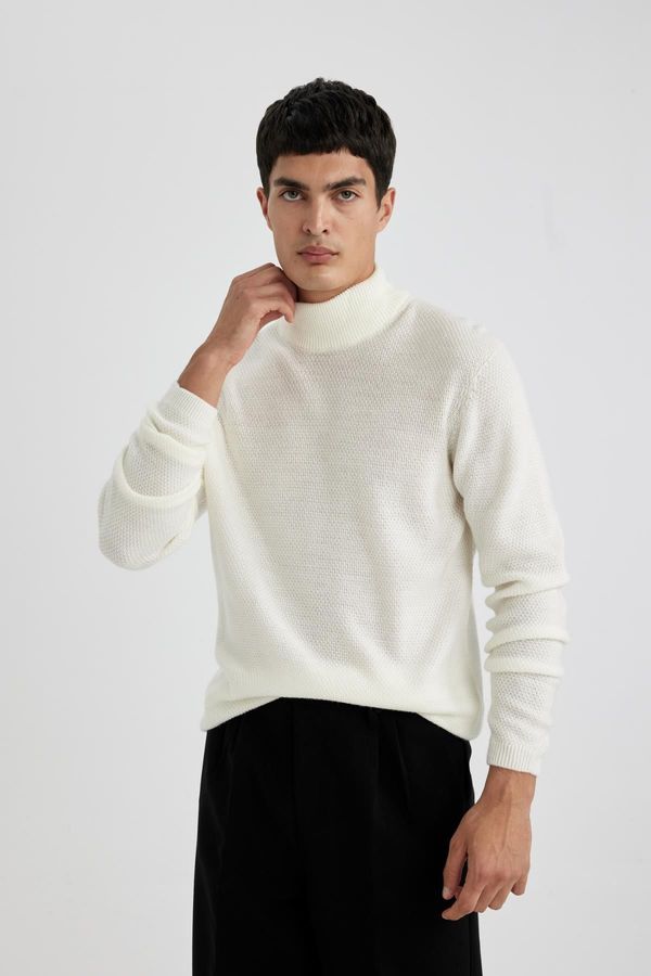 DEFACTO DEFACTO Standard Fit Turtleneck Sweater