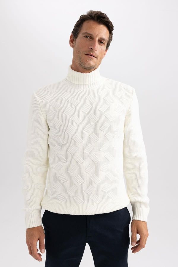 DEFACTO DEFACTO Standard Fit Turtleneck Sweater