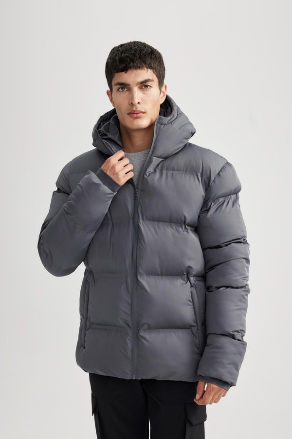 DEFACTO DEFACTO Water Repellent Regular Fit Hooded Puffer Jacket