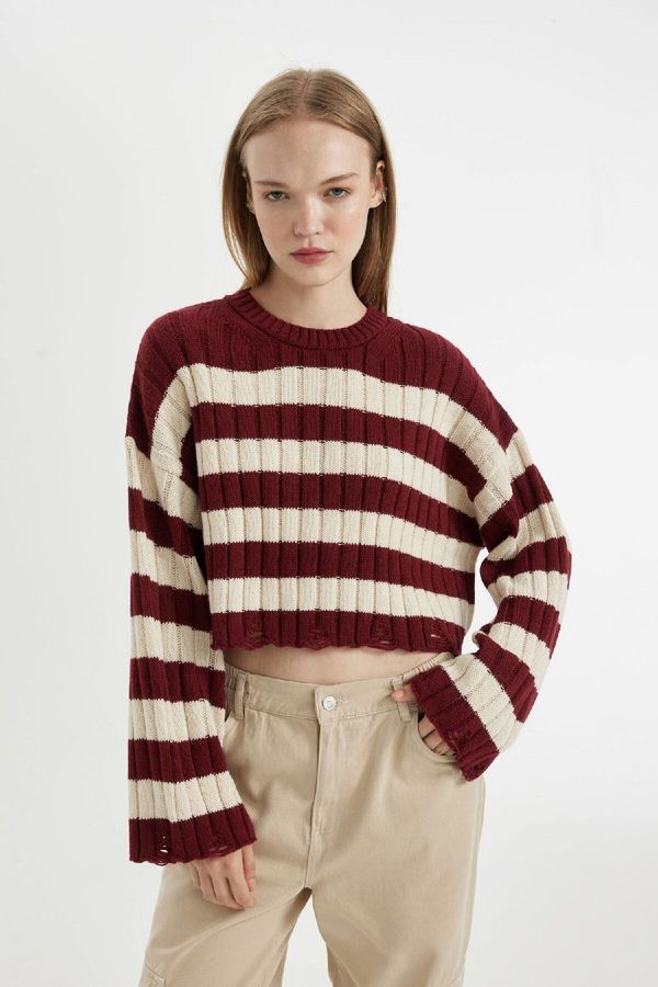 DEFACTO DEFACTO Women's Regular Fit Striped Crew Neck Crop Knitwear Sweater