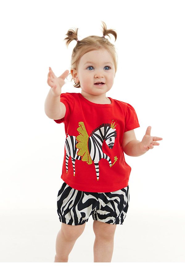 Denokids Denokids Ballerina Zebra Baby Girl T-shirt Poplin Shorts Set