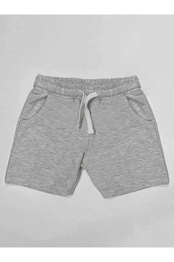 Denokids Denokids Basic Boys' Cotton Light Gray Shorts