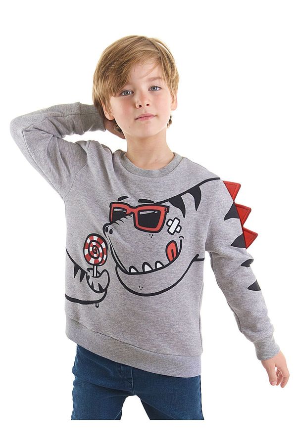 Denokids Denokids Candy Dinosaur Boys Gray Sweatshirt