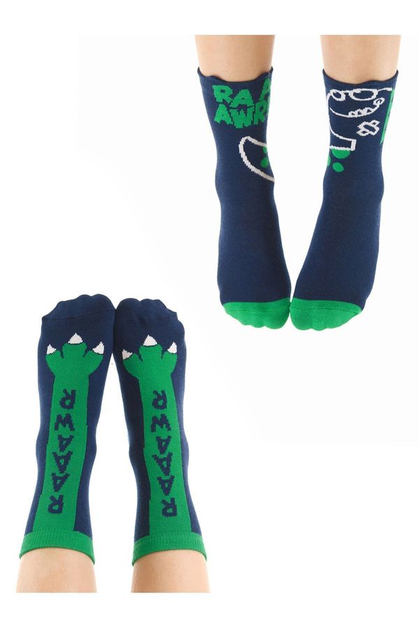 Denokids Denokids Caterpillar Dino Boy's Set of 2 Socket Socks