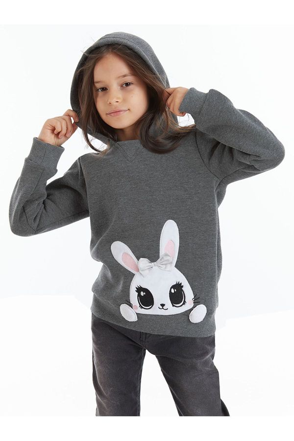 Denokids Denokids Cute Rabbit Girls Sweatshirt