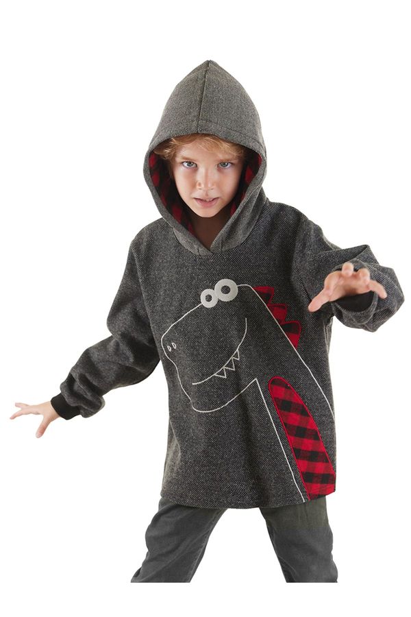 Denokids Denokids Dino Boy Hooded Sweatshirt