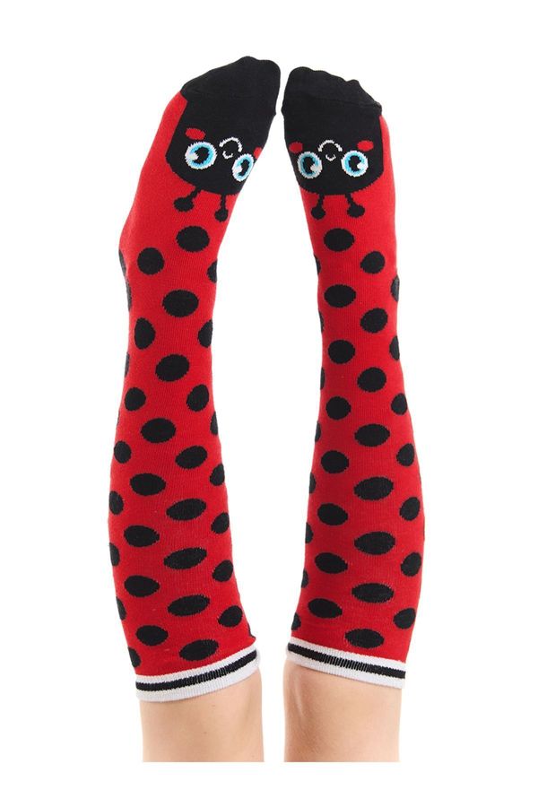 Denokids Denokids Ladybug Patterned Polka Dot Girls' Knee Socks