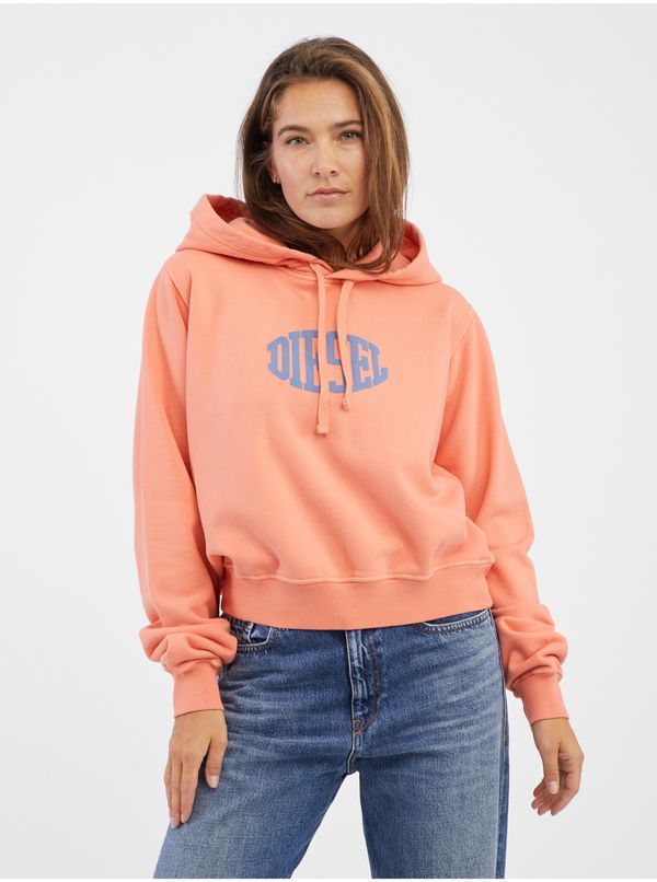 Diesel Diesel Sweatshirt - F-REGGY-HOOD-E2 SWEAT-SHIRT orange