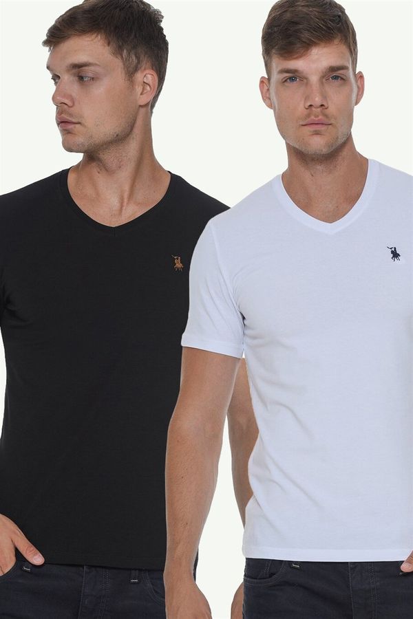 dewberry DOUBLE SET T8568 DEWBERRY V-NECK MEN'S T-SHIRT-WHITE-BLACK