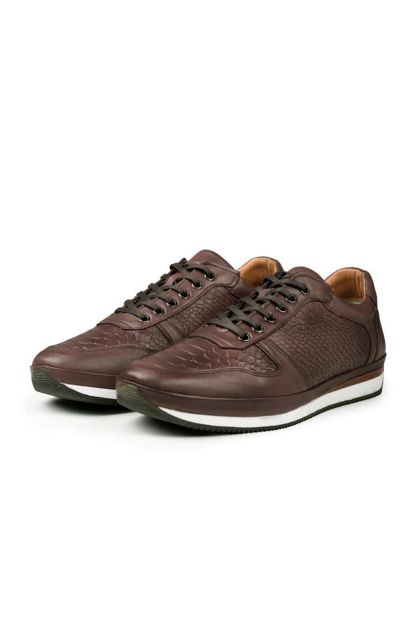 Ducavelli Ducavelli Ageo Genuine Leather Men's Casual Shoes Brown