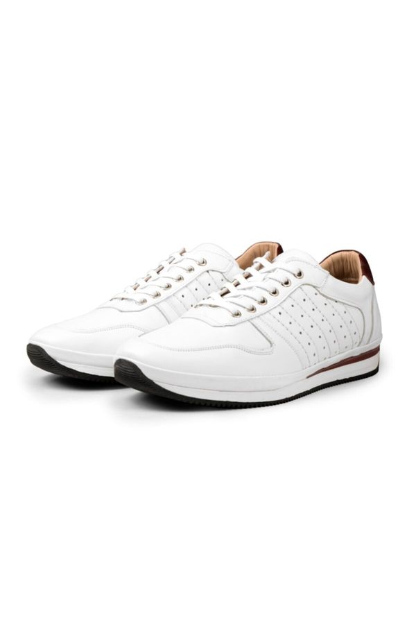 Ducavelli Ducavelli Cool Genuine Leather Men's Casual Shoes, Casual Shoes, 100% Leather Shoes All Seasons Shoes White.