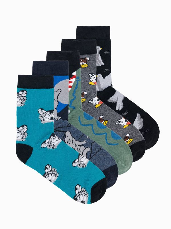 Edoti Edoti Men's socks