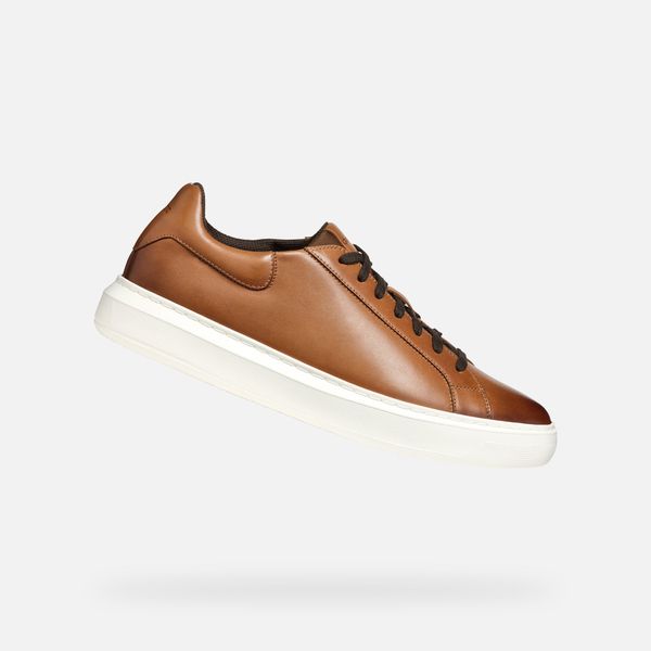 GEOX GEOX Brown men's sneakers Deiven - Men's