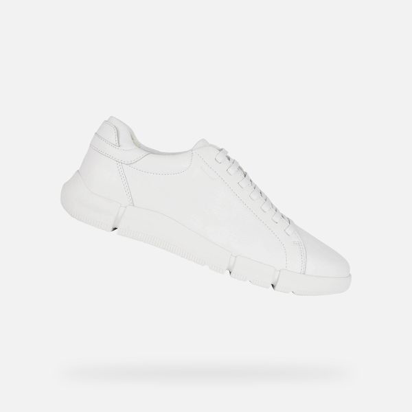 GEOX GEOX White men's sneakers Adacter - Men's