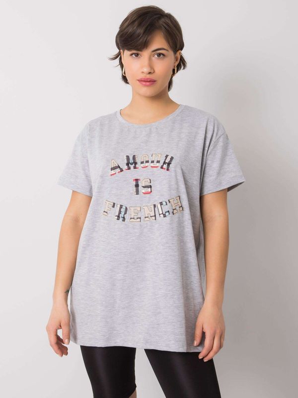 Fashionhunters Gray women's T-shirt with inscription