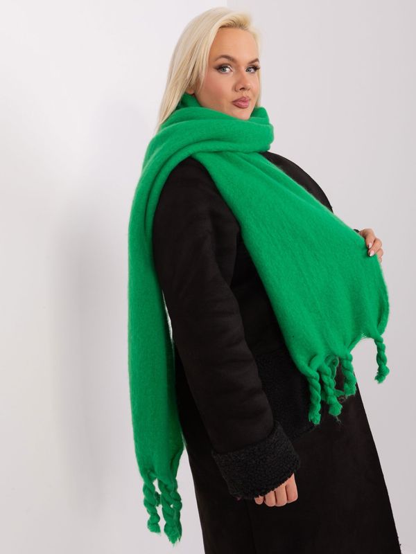 Fashionhunters Green Smooth Winter Scarf