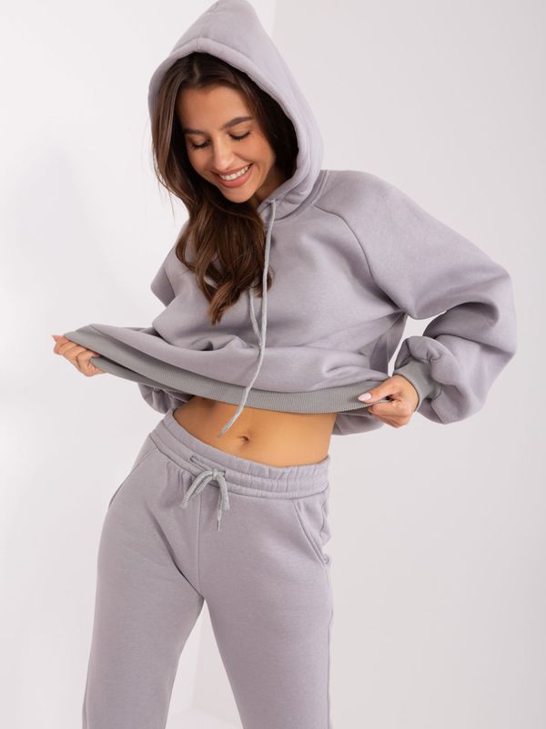 Fashionhunters Grey basic tracksuit with trousers