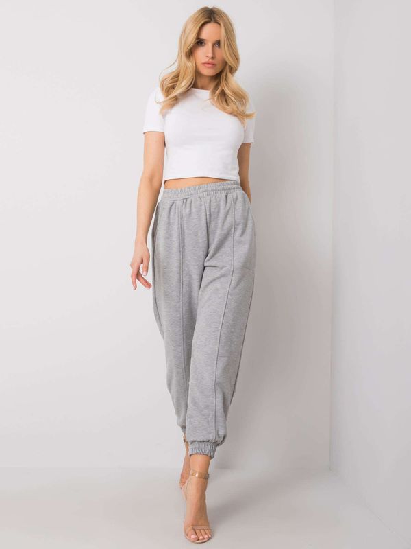 Fashionhunters Grey cotton sweatpants