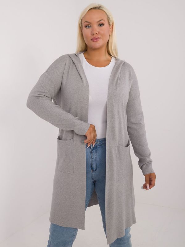 Fashionhunters Grey plus size cardigan with hood