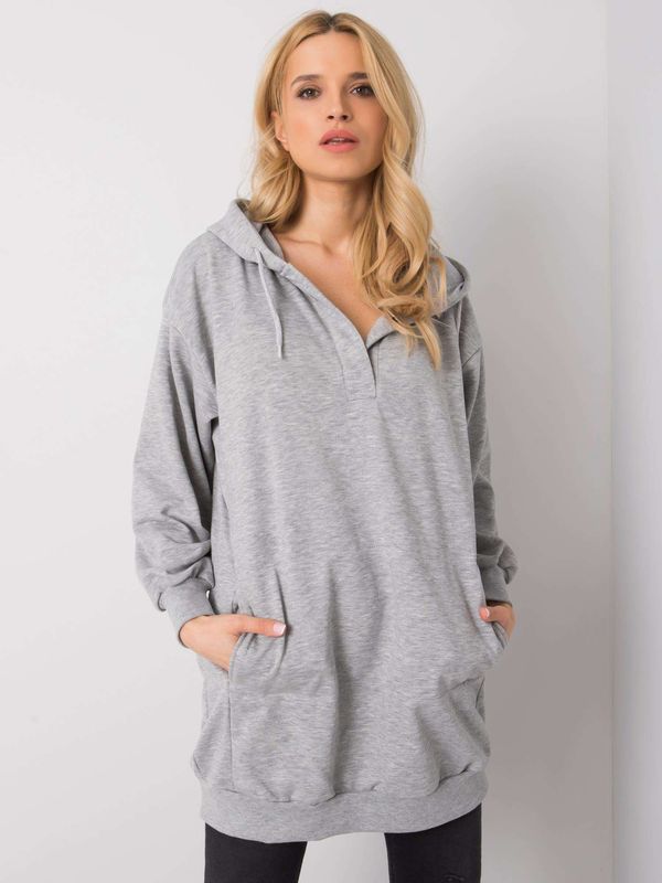 Fashionhunters Grey women's hoodie