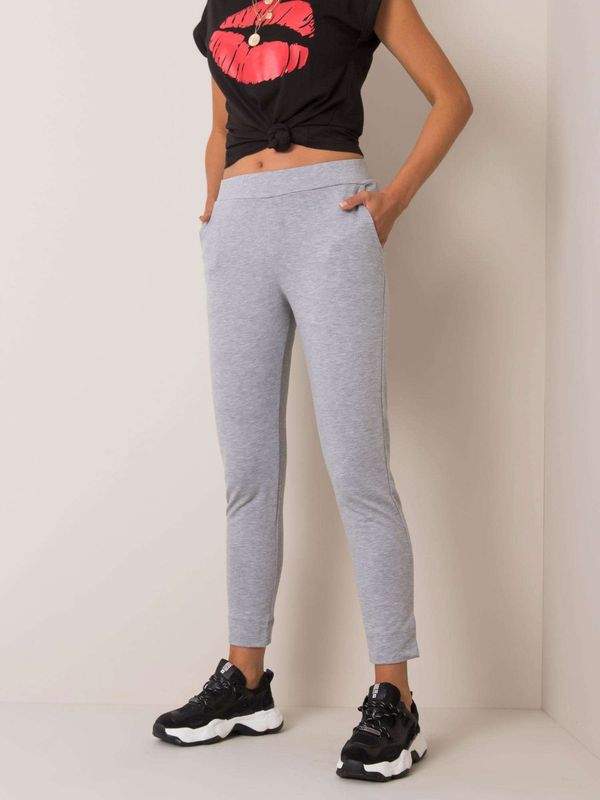 Fashionhunters Grey women's sweatpants