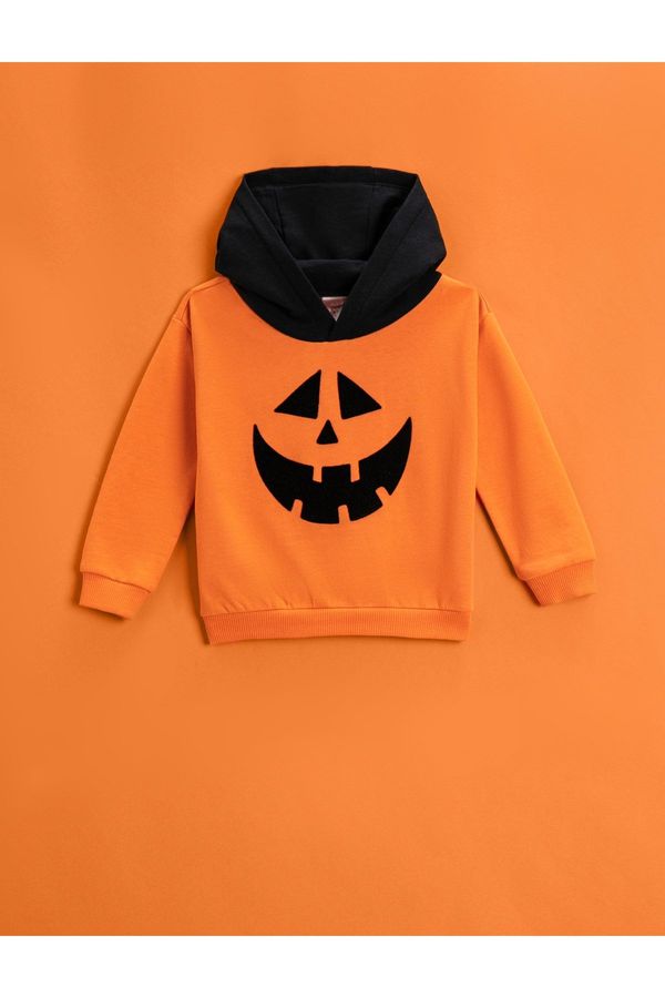 Koton Koton Color Contrast Hoodie and Sweatshirt with Pumpkin Print