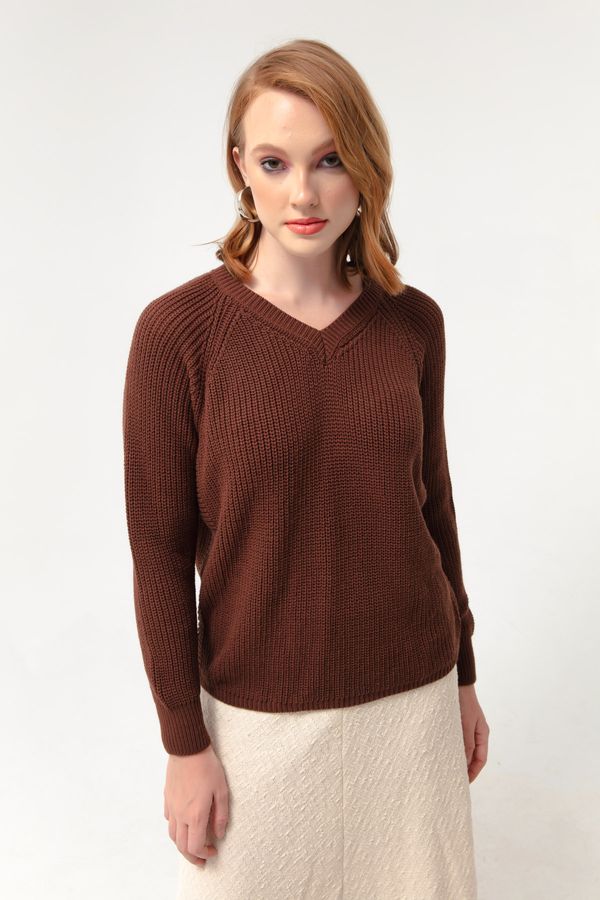 Lafaba Lafaba Women's Brown V-Neck Knitwear Sweater