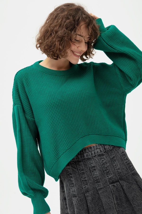 Lafaba Lafaba Women's Emerald Green Crew Neck Knitwear Sweater