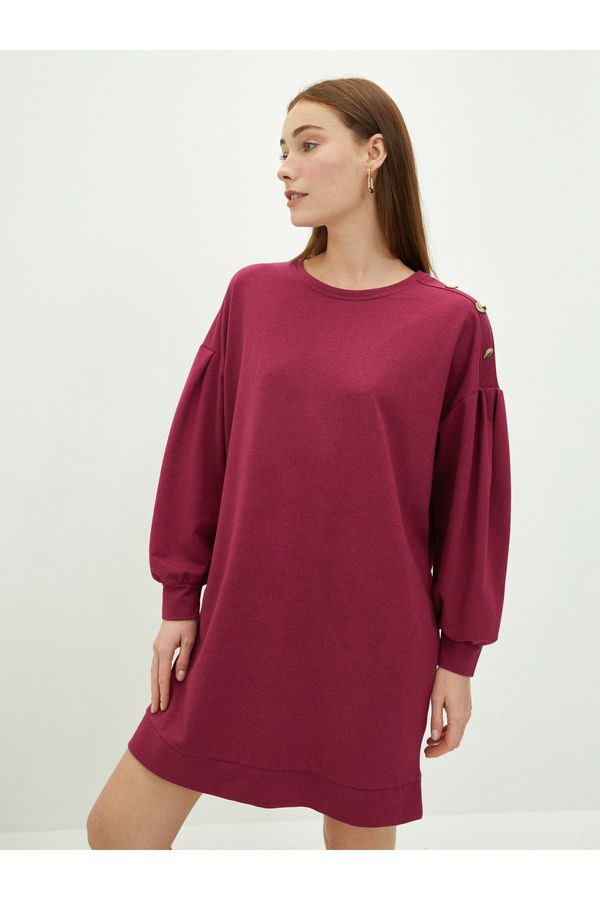 LC Waikiki LC Waikiki Crew Neck Straight Long Sleeve Women's Dress