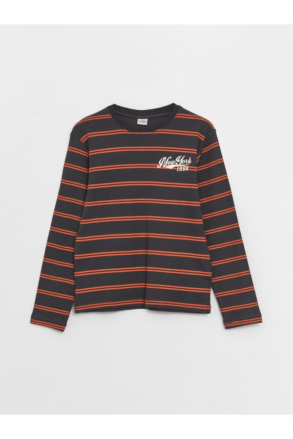 LC Waikiki LC Waikiki Crew Neck Striped Long Sleeve Boys' T-Shirt