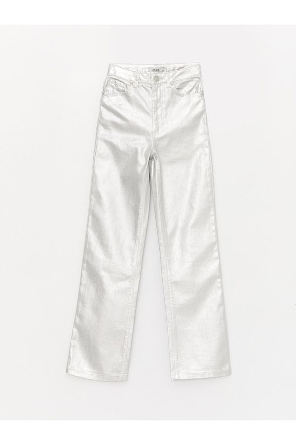 LC Waikiki LC Waikiki Leather Look Standard Fit Women's Trousers